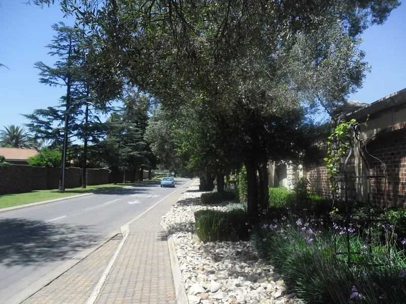 A tree-lined residential street in Benoni