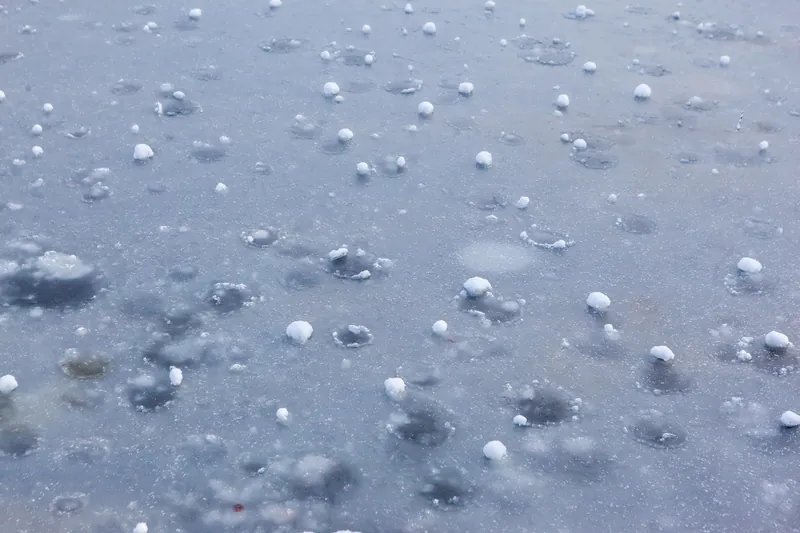 Hailstones scattered on the ground after a storm