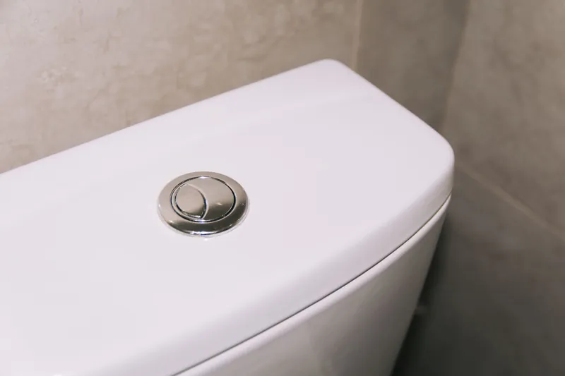 The dual-flush button on a white toilet cistern