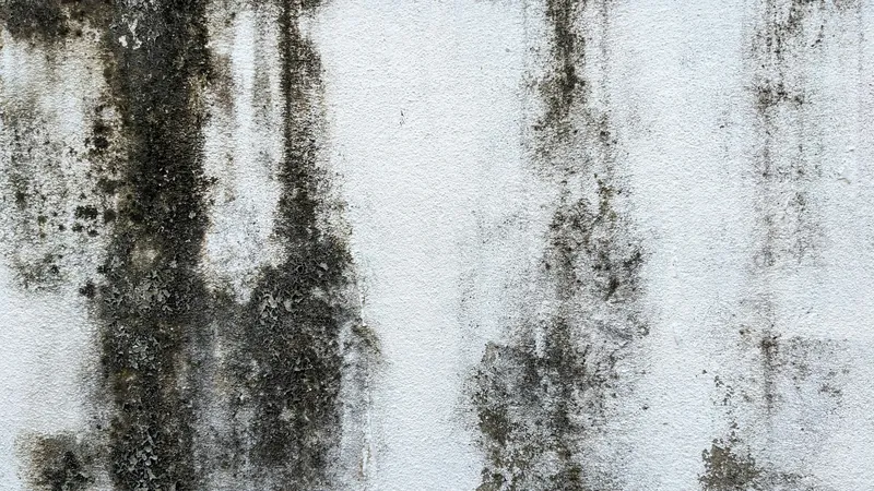 Damp stains and mould running down a painted wall